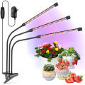 Grow Light with 3 Modes LED Lamp